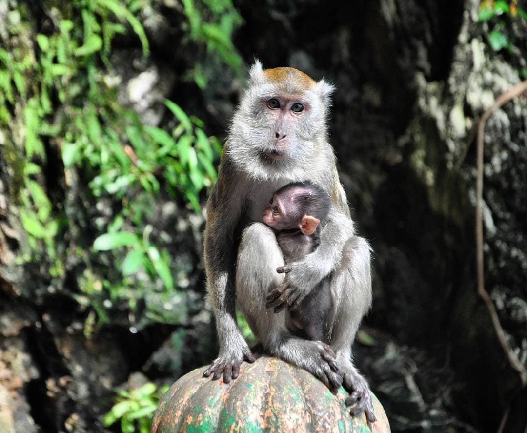 Mother: The World Is Strange Mother: The World Is Strange