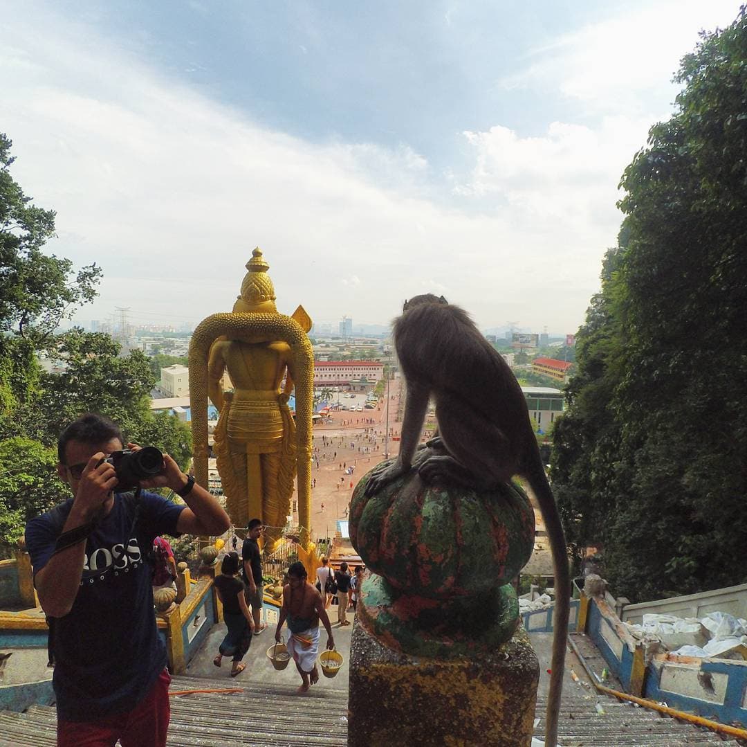 I Went To My Wishes I Went To My Wishes